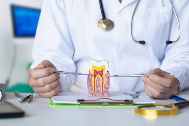 Best Knocked-Out Tooth (Avulsed Tooth) Treatment in Oroville, WA